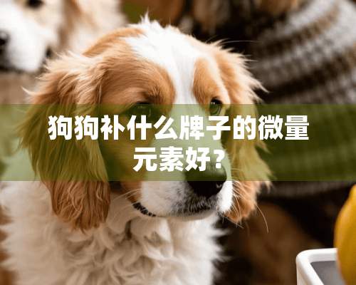 狗狗补什么牌子的微量元素好？