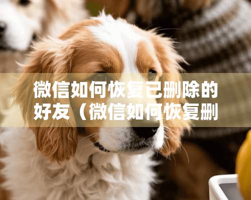 微信如何恢复已删除的好友（微信如何恢复删除掉的好友）