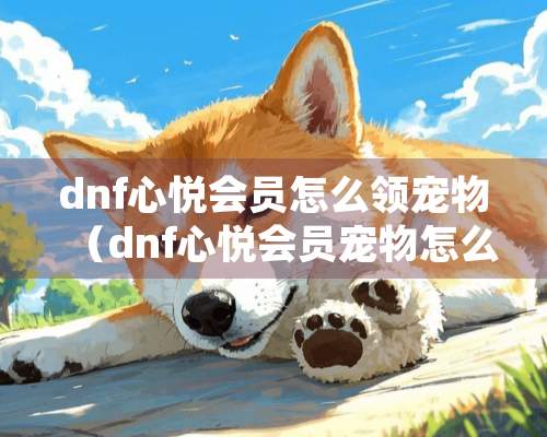 dnf心悦会员怎么领宠物（dnf心悦会员宠物怎么得）