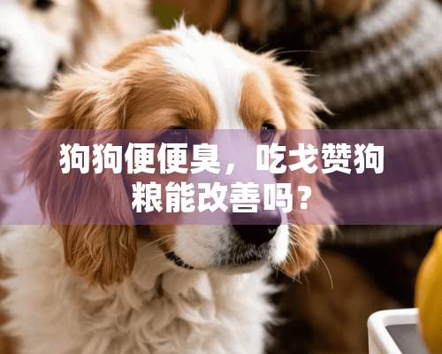 狗狗便便臭，吃戈赞狗粮能改善吗？