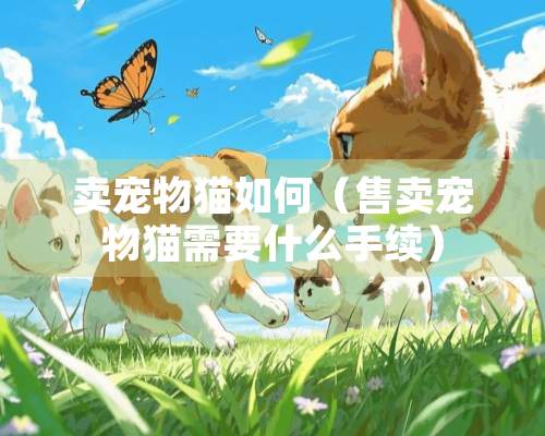 卖宠物猫如何（售卖宠物猫需要什么手续）