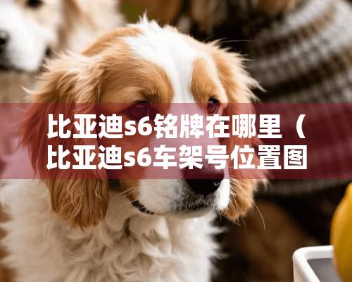 比亚迪s6铭牌在哪里（比亚迪s6车架号位置图照片）