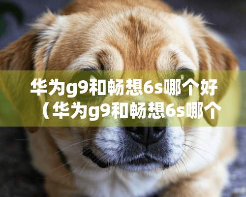 华为g9和畅想6s哪个好（华为g9和畅想6s哪个好）