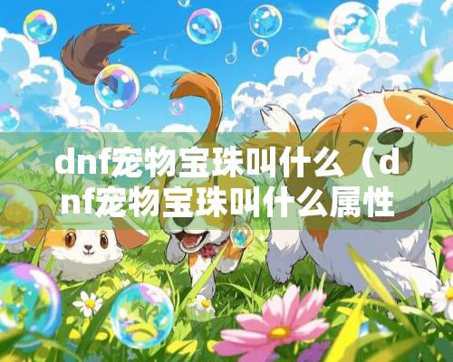 dnf宠物宝珠叫什么（dnf宠物宝珠叫什么属性）