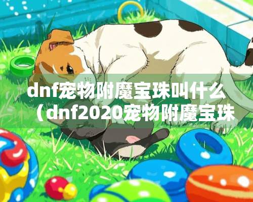 dnf宠物附魔宝珠叫什么（dnf2020宠物附魔宝珠叫什么）