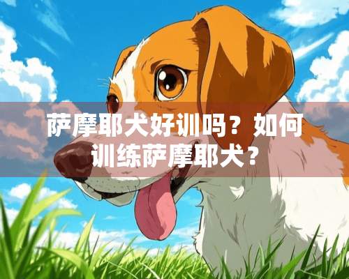 萨摩耶犬好训吗？如何训练萨摩耶犬？