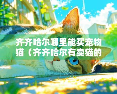 齐齐哈尔哪里能买宠物猫（齐齐哈尔有卖猫的宠物店么）