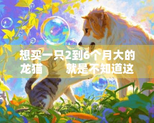 想买一只2到6个月大的龙猫　　就是不知道这个阶段的龙猫体型多大　　