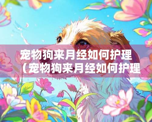 宠物狗来月经如何护理（宠物狗来月经如何护理好）