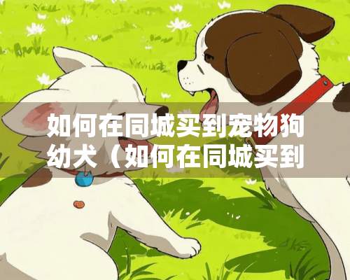 如何在同城买到宠物狗幼犬（如何在同城买到宠物狗幼犬呢）