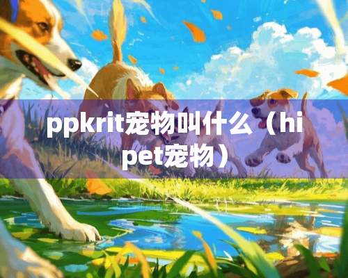 ppkrit宠物叫什么（hipet宠物）