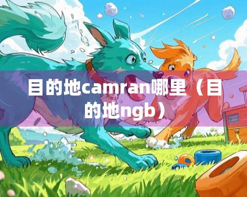 目的地camran哪里（目的地ngb）