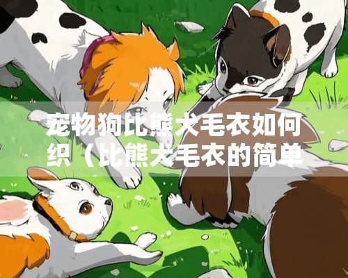 宠物狗比熊犬毛衣如何织（比熊犬毛衣的简单织法）