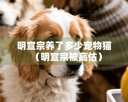 明宣宗养了多少宠物猫（明宣宗被高估）