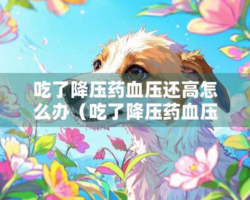 吃了降压药血压还高怎么办（吃了降压药血压还是高怎么办）