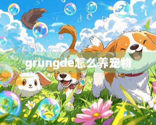 grungde怎么养宠物