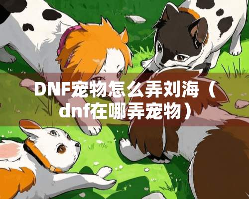 DNF宠物怎么弄刘海（dnf在哪弄宠物）