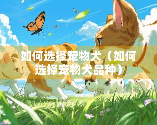 如何选择宠物犬（如何选择宠物犬品种）