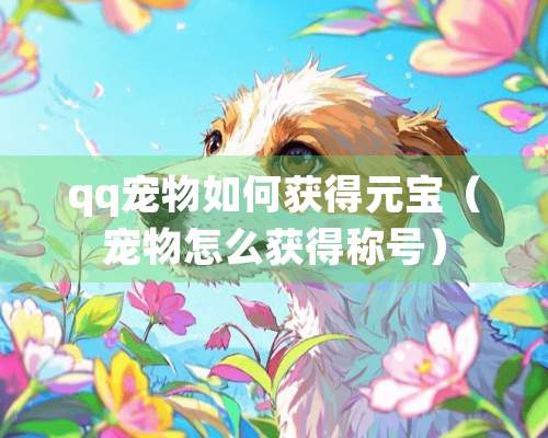 qq宠物如何获得元宝（宠物怎么获得称号）