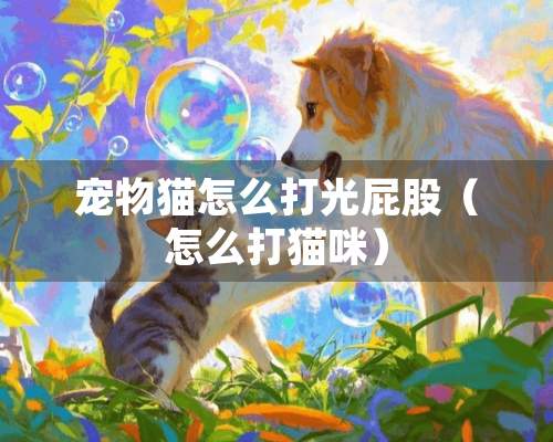 宠物猫怎么打光屁股（怎么打猫咪）