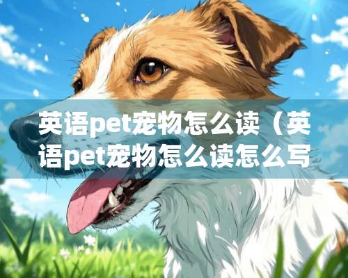 英语pet宠物怎么读（英语pet宠物怎么读怎么写）