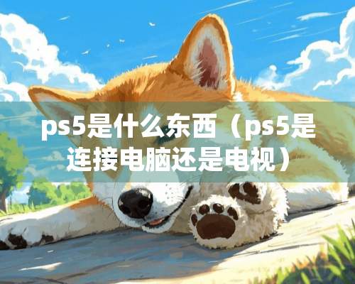 ps5是什么东西（ps5是连接电脑还是电视）