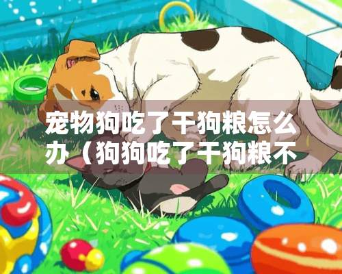 宠物狗吃了干狗粮怎么办（狗狗吃了干狗粮不拉屎）