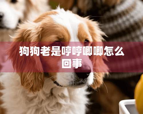 狗狗老是哼哼唧唧怎么回事