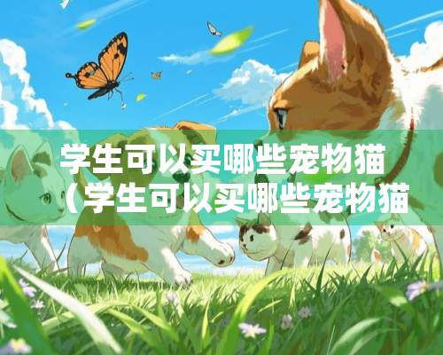 学生可以买哪些宠物猫（学生可以买哪些宠物猫品种）