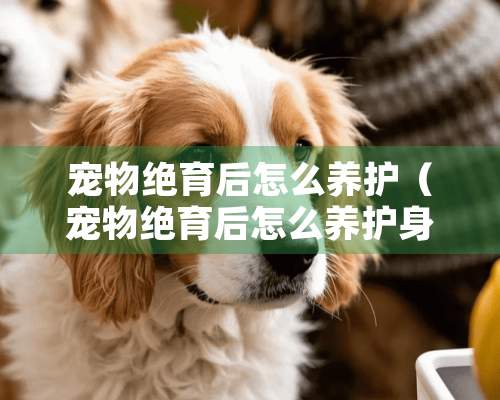 宠物绝育后怎么养护（宠物绝育后怎么养护身体）