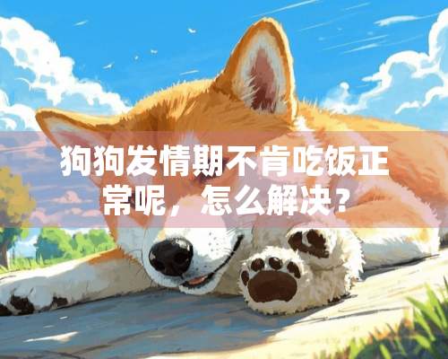 狗狗发情期不肯吃饭正常呢，怎么解决？