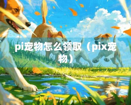 pi宠物怎么领取（pix宠物）