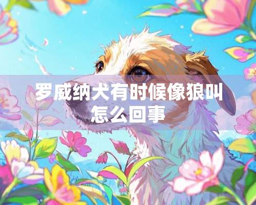 罗威纳犬有时候像狼叫怎么回事