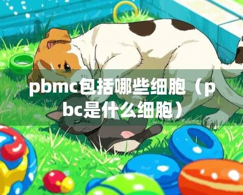 pbmc包括哪些细胞（pbc是什么细胞）