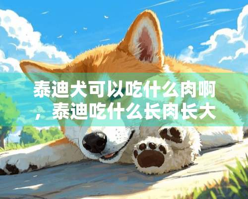 泰迪犬可以吃什么肉啊，泰迪吃什么长肉长大