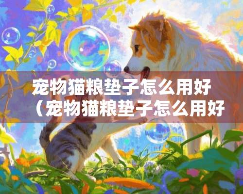 宠物猫粮垫子怎么用好（宠物猫粮垫子怎么用好看）