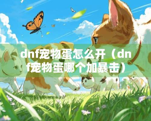 dnf宠物蛋怎么开（dnf宠物蛋哪个加暴击）