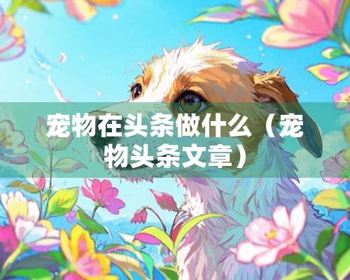 宠物在头条做什么（宠物头条文章）