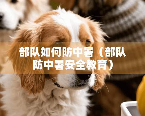 **如何防中暑（**防中暑安全教育）