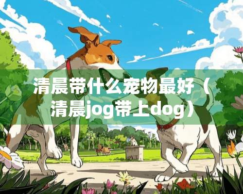 清晨带什么宠物最好（清晨jog带上dog）