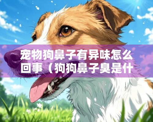 宠物狗鼻子有异味怎么回事（狗狗鼻子臭是什么原因）