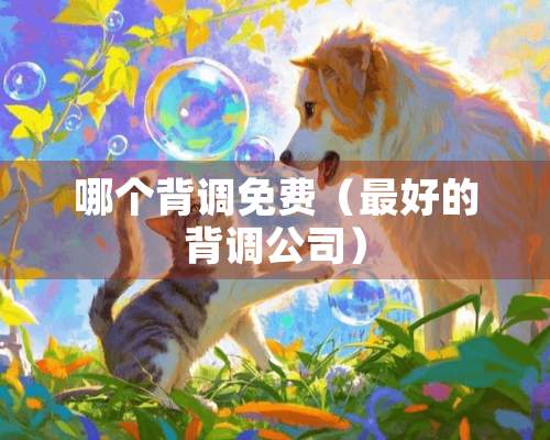 哪个背调免费（最好的背调公司）