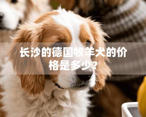 长沙的德国牧羊犬的价格是多少？