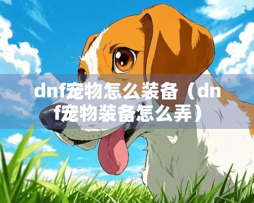 dnf宠物怎么装备（dnf宠物装备怎么弄）