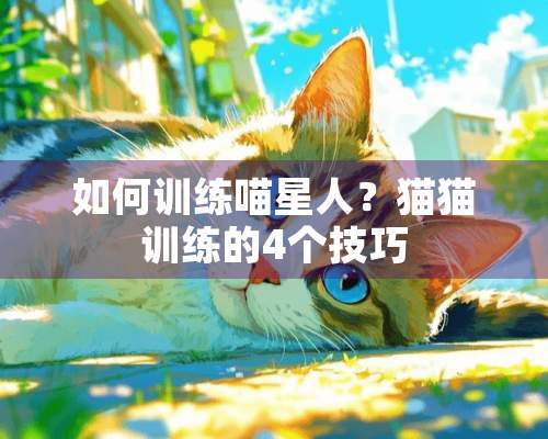 如何训练喵星人？猫猫训练的4个技巧