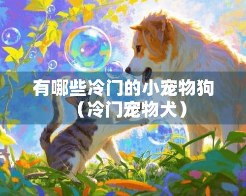 有哪些冷门的小宠物狗（冷门宠物犬）