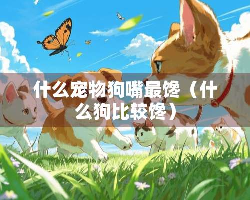 什么宠物狗嘴最馋（什么狗比较馋）