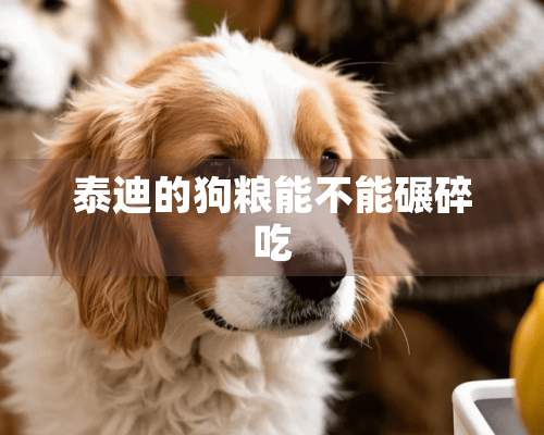 泰迪的狗粮能不能碾碎吃