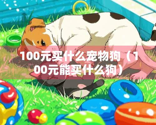 100元买什么宠物狗（100元能买什么狗）