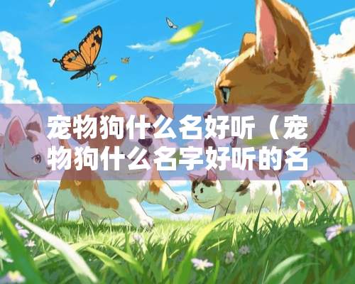 宠物狗什么名好听（宠物狗什么名字好听的名字）